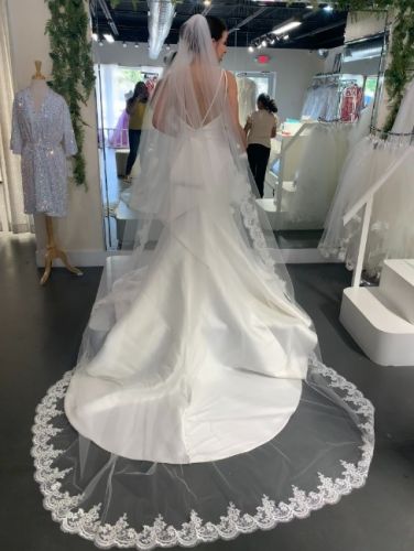 Wedding dress ( veil included )