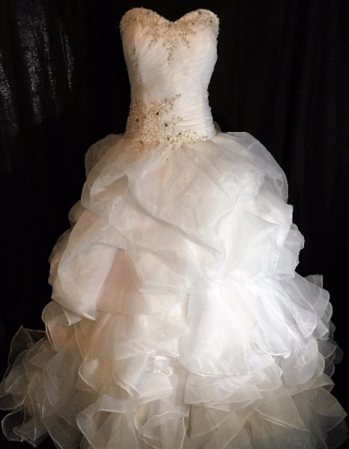 Brand New Strapless Gown!