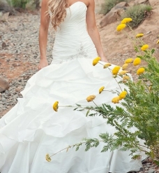 Maggie Sottero &quot;Jenna&quot; Bridal Gown