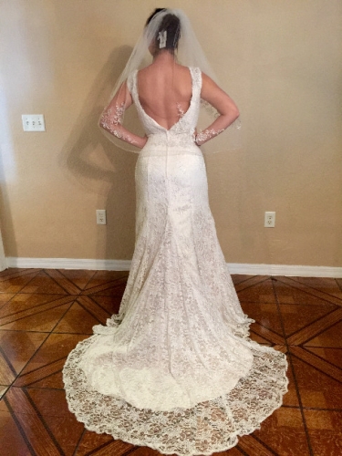 Size 10 Lace Gown with Veil