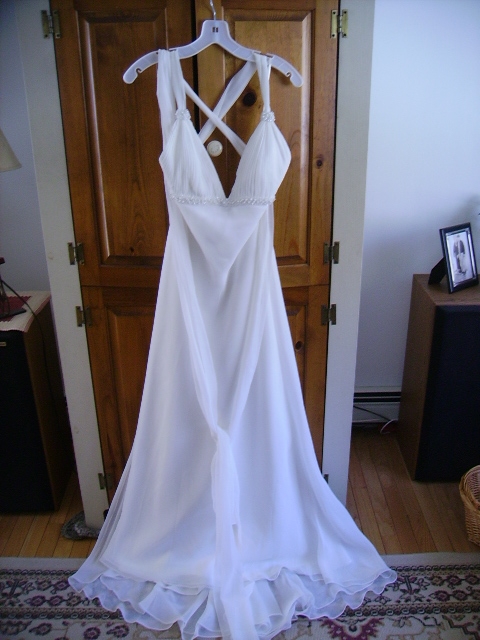 Brand new wedding gown-never worn