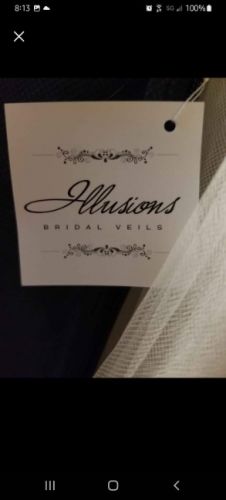 New Wedding Dress and Veil