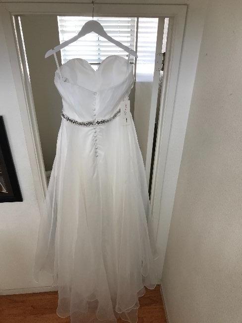 California : Brand New! High Low Strapless Gown : Sizes 12+