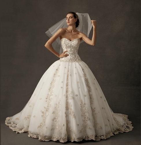 Beautiful Dress - Never Worn