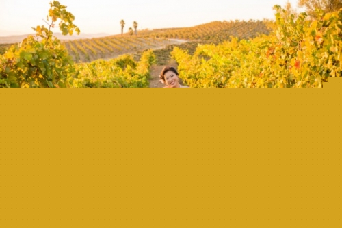 Bonny's Bridal wedding gown 8302