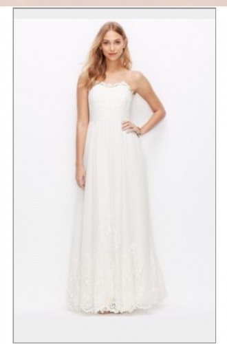 Ann Taylor Silk Georgette Lace Gown