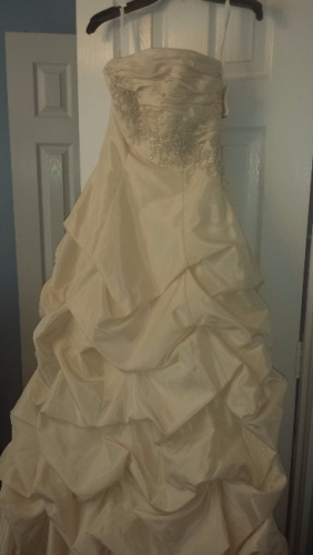 Beautiful David's Bridal Gown