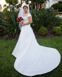 Wedding Dress - Like New -Preserved