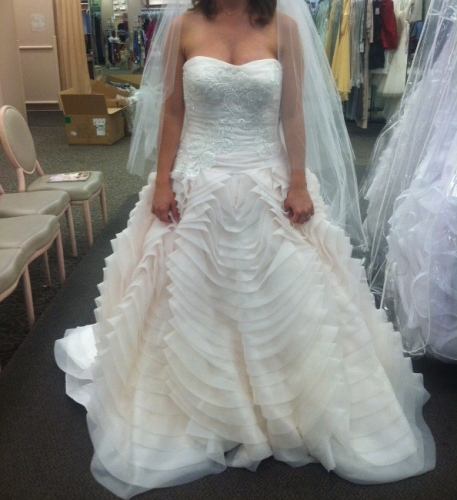 Beautiful Ombre Ball Gown