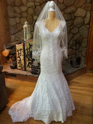 New With Tags, Veil, and Dress Bag