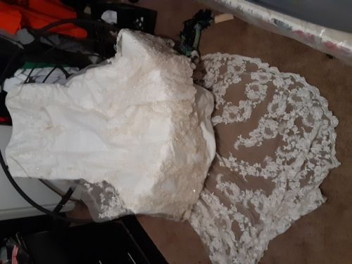 Alfredo angelo 125.00