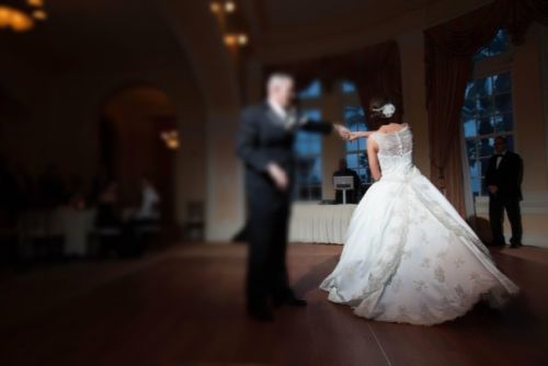 Preserved David Bridal WeddingDress