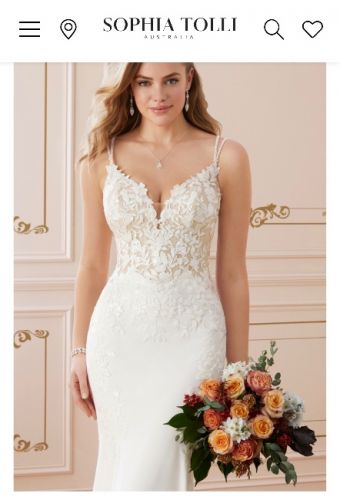 Stunning Sophia Tolli Gown - Y22067