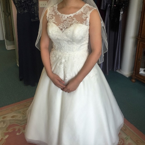 Lace Wedding Dress and Veil