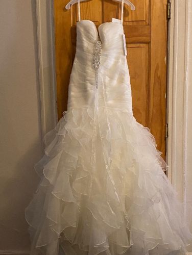 Mermaid Dress from David’s Bridal