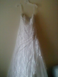 Strapless Lace fit and flare gown. 