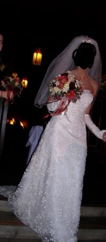 Elegant ivory dress w/train &amp; veil