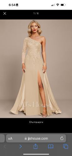 Champagne Chiffon Dress-new size 18
