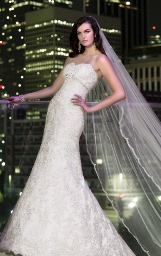 Essence of Australia - D1398