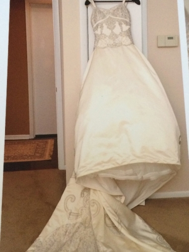 Pricilla Of Boston Platinum Gown