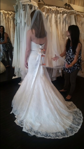 Brand New Fit &amp; Flare Wedding Dres