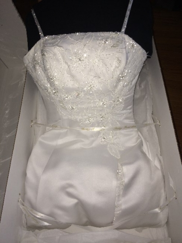 Dress in box - top to hips.jpg