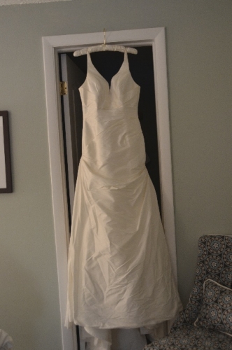 Pronovias Diamante Gown and Veil 