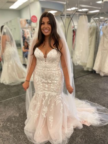 Davidâs bridal wedding dress