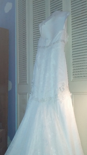 2015-08-21 17.28.41.jpg